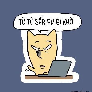 Pate