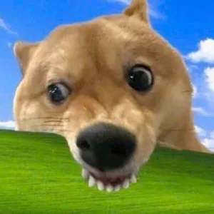 1 kí quýt thay cho lời xin lỗi