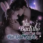 Tiểu Bạch Thỏ Em Chạy Đâu Cho Thoát