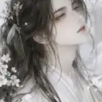 Lệ Trong Trướng Tướng