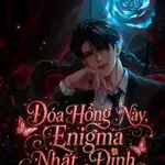Đóa Hồng Này, Enigma Nhất Định Phải Có