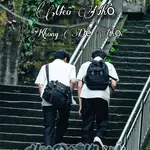 Mèo Nhỏ Không Dễ Chọc