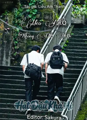 Mèo Nhỏ Không Dễ Chọc