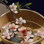 HOA TRONG GƯƠNG