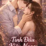 Tình Đầu Kiêu Ngạo