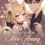 Huấn Luyện Mèo Hoang Hư Hỏng
