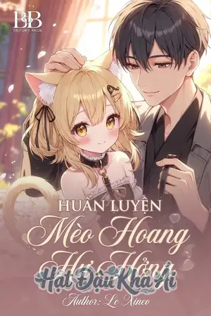 Huấn Luyện Mèo Hoang Hư Hỏng
