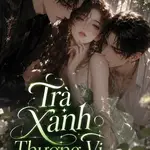 Trà Xanh Thượng Vị