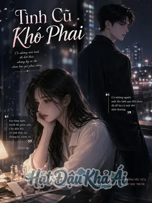 Tình Cũ Khó Phai