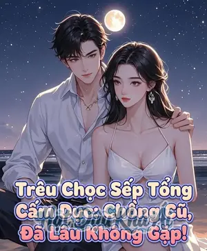 Trêu Chọc Sếp Tổng Cấm Dục: Chồng Cũ, Đã Lâu Không Gặp!