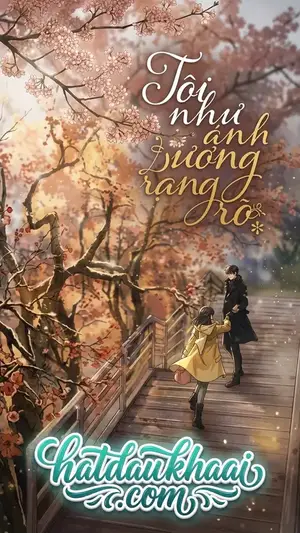 Tôi Như Ánh Dương Rực Rỡ