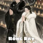 Rồng Bay Phượng Múa
